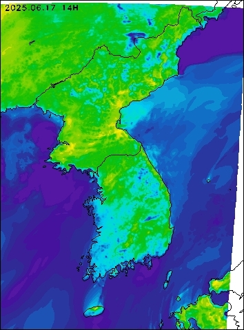 2025-06-17 14 : 00