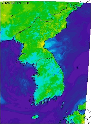 2025-06-18 11 : 00