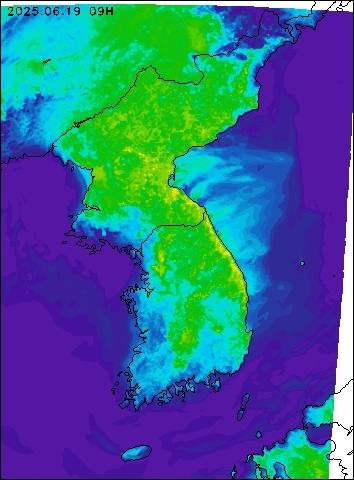 2025-06-19 09 : 00