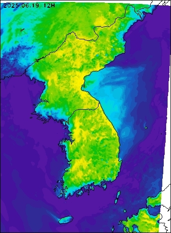 2025-06-19 12 : 00