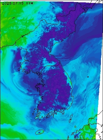 2025-07-15 11 : 00