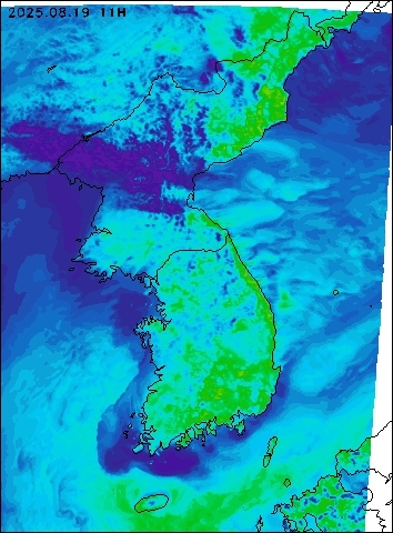 2025-08-19 11 : 00