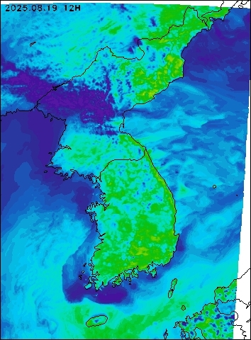2025-08-19 12 : 00