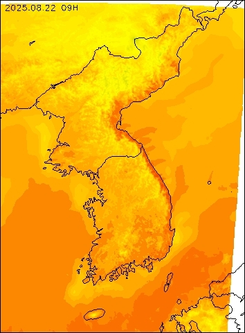 2025-08-22 09 : 00