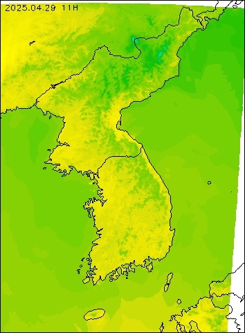 2025-04-29 11 : 00