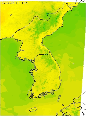 2025-05-11 12 : 00