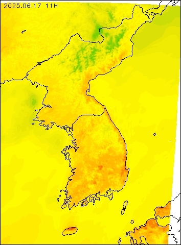 2025-06-17 11 : 00