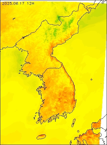 2025-06-17 12 : 00