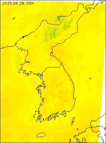 2025-06-29 05 : 00
