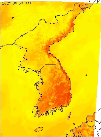 2025-06-30 11 : 00