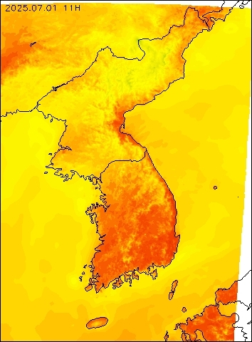 2025-07-01 11 : 00