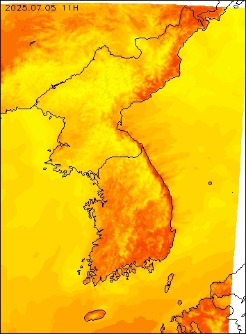 2025-07-05 11 : 00