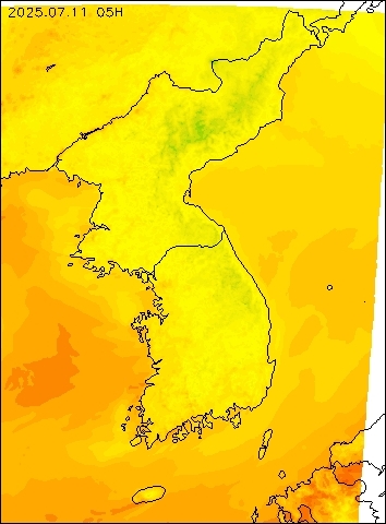 2025-07-11 05 : 00