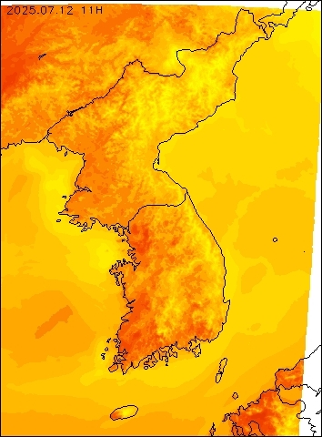 2025-07-12 11 : 00