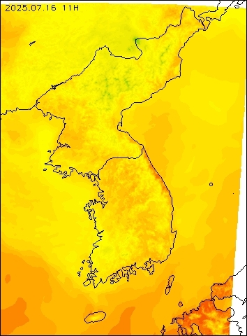 2025-07-16 11 : 00