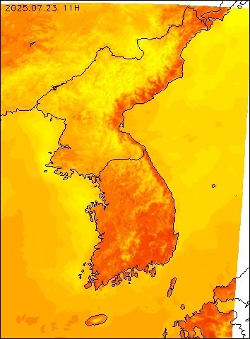 2025-07-23 11 : 00
