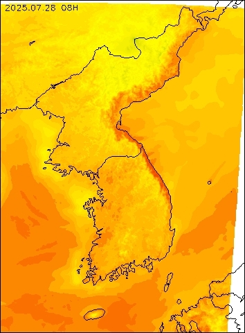2025-07-28 08 : 00