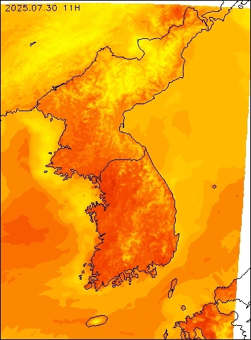 2025-07-30 11 : 00
