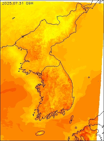 2025-07-31 09 : 00