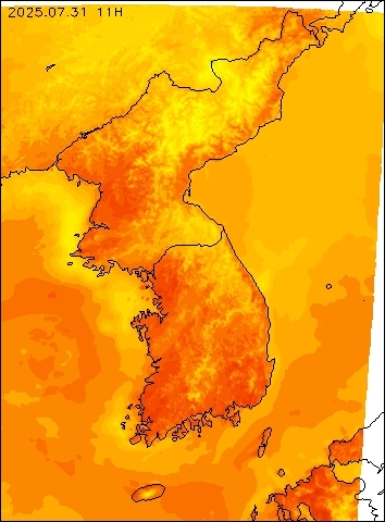2025-07-31 11 : 00