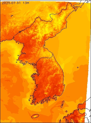 2025-07-31 13 : 00