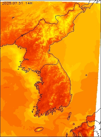 2025-07-31 14 : 00