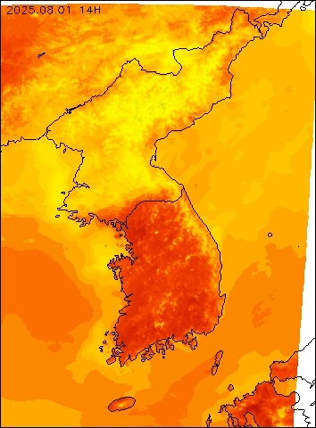 2025-08-01 14 : 00