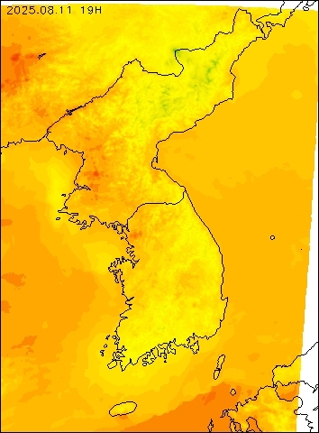 2025-08-11 19 : 00