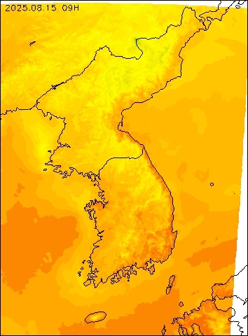 2025-08-15 09 : 00