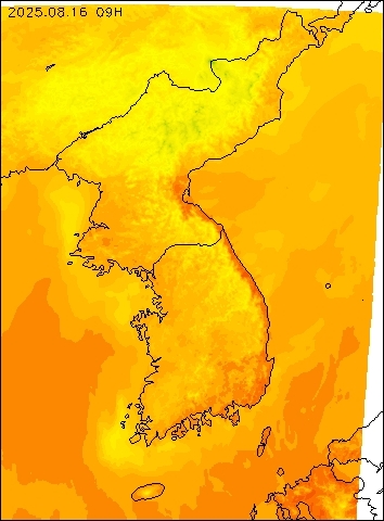 2025-08-16 09 : 00