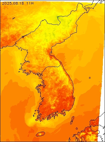 2025-08-18 11 : 00