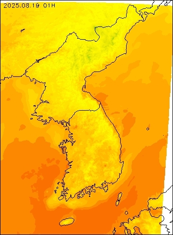 2025-08-19 01 : 00