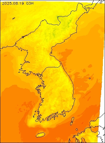 2025-08-19 03 : 00