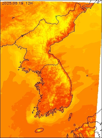 2025-08-19 12 : 00