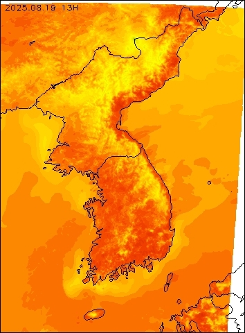 2025-08-19 13 : 00