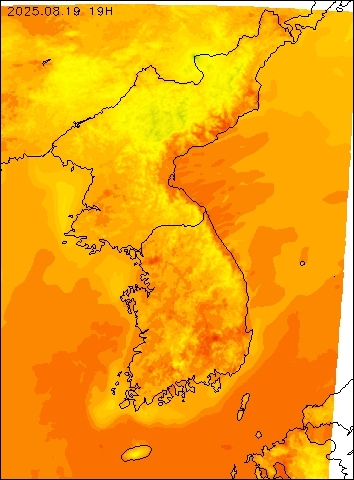2025-08-19 19 : 00