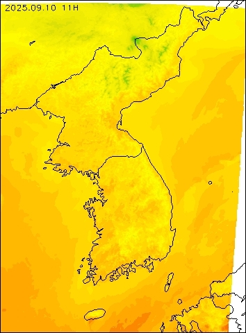 2025-09-10 11 : 00