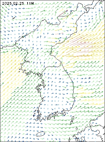 2025-02-25 11 : 00