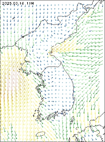 2025-03-16 11 : 00