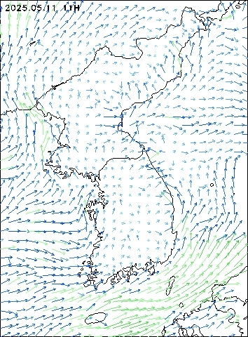2025-05-11 11 : 00