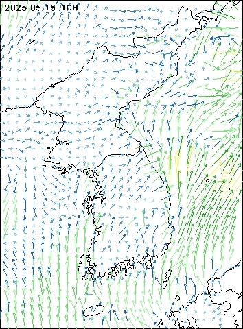 2025-05-15 10 : 00