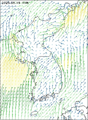 2025-05-19 11 : 00