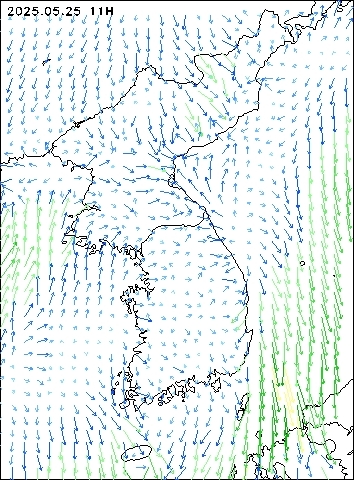 2025-05-25 11 : 00