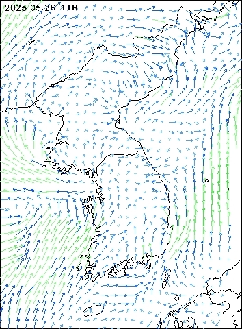 2025-05-26 11 : 00