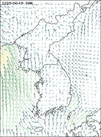 2025-06-15 09 : 00