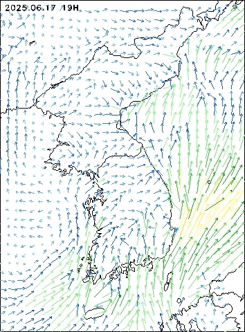 2025-06-17 19 : 00