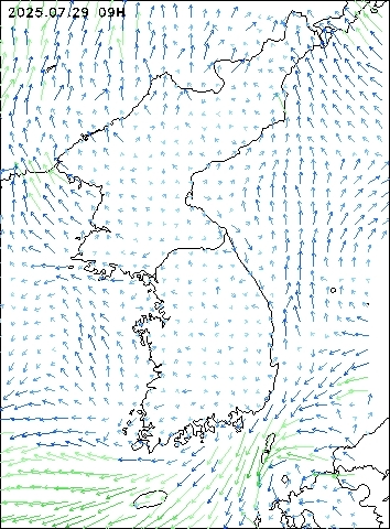 2025-07-29 09 : 00