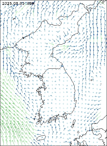 2025-08-03 08 : 00