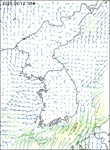2025-08-12 05 : 00