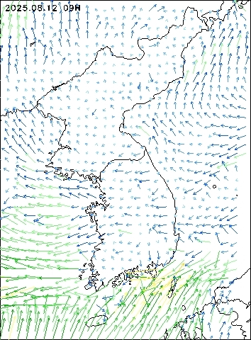 2025-08-12 09 : 00